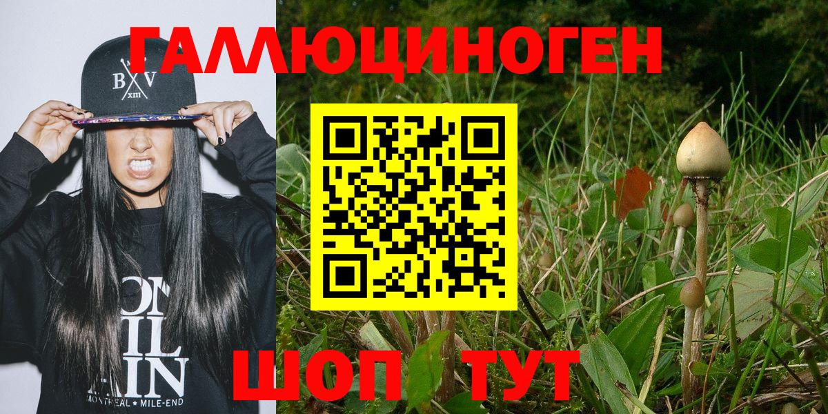 Галлюциногенные грибы ЛСД Чусовой