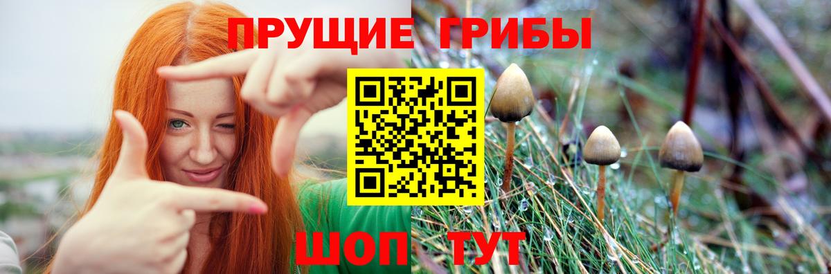 дарнет шоп  Чусовой  Галлюциногенные грибы ЛСД 